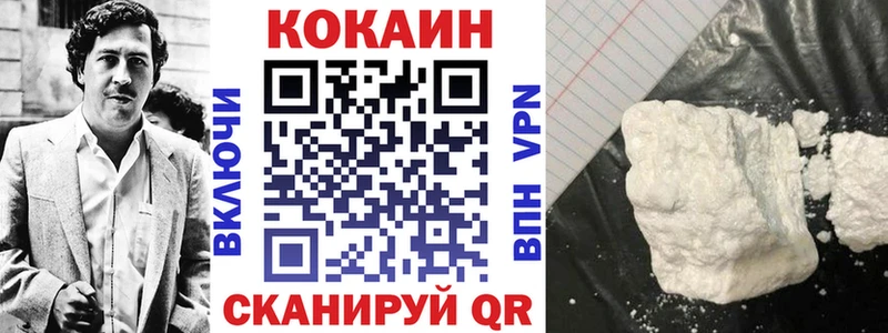 Cocaine FishScale  Купить закладки  Славск 