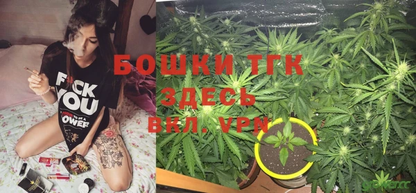 прущие крисы Елабуга