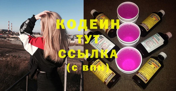 apvp Ельня
