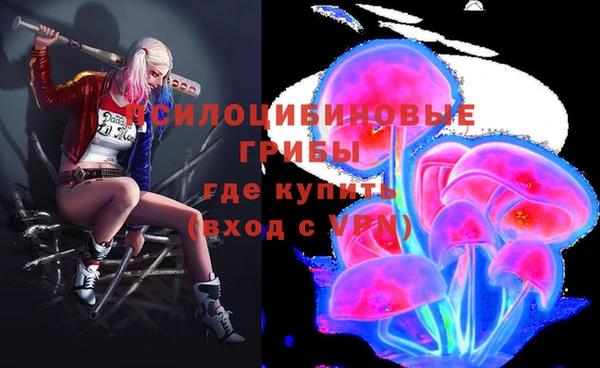 ешки Заволжье