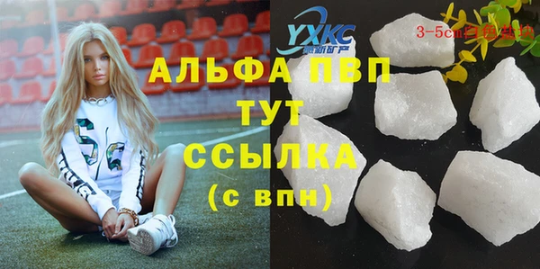 apvp Ельня